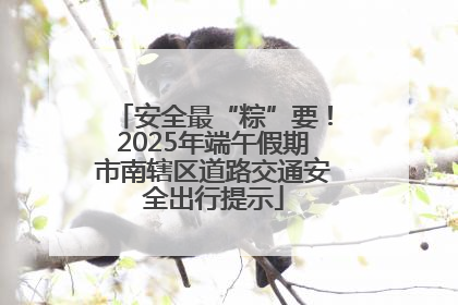 安全最“粽”要！2025年端午假期市南辖区道路交通安全出行提示