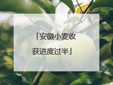 安徽小麦收获进度过半