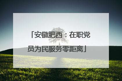 安徽肥西：在职党员为民服务零距离
