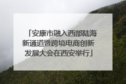 安康市融入西部陆海新通道暨跨境电商创新发展大会在西安举行