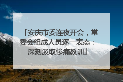 安庆市委连夜开会，常委会组成人员逐一表态：深刻汲取惨痛教训