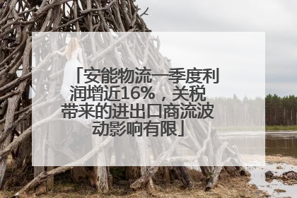 安能物流一季度利润增近16%，关税带来的进出口商流波动影响有限