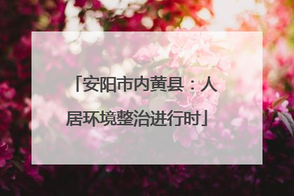 安阳市内黄县：人居环境整治进行时