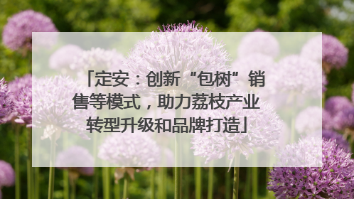 定安：创新“包树”销售等模式，助力荔枝产业转型升级和品牌打造