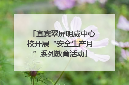 宜宾翠屏明威中心校开展“安全生产月”系列教育活动