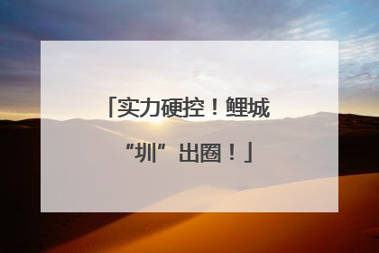 实力硬控！鲤城“圳”出圈！