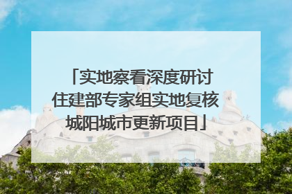 实地察看深度研讨 住建部专家组实地复核城阳城市更新项目