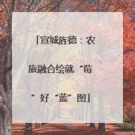 宣城旌德：农旅融合绘就“莓”好“蓝”图
