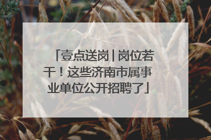 壹点送岗│岗位若干！这些济南市属事业单位公开招聘了
