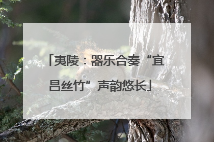夷陵：器乐合奏“宜昌丝竹”声韵悠长