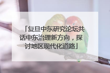 复旦中东研究论坛共话中东治理新方向，探讨地区现代化道路