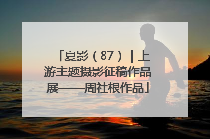 夏影（87）｜上游主题摄影征稿作品展——周社根作品
