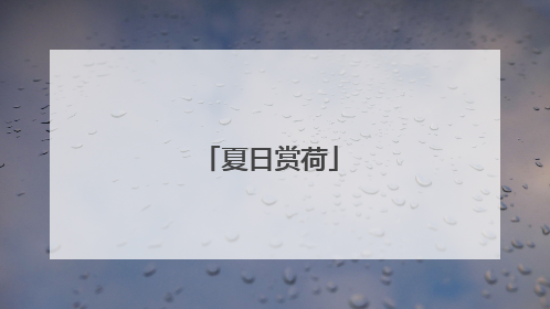 夏日赏荷