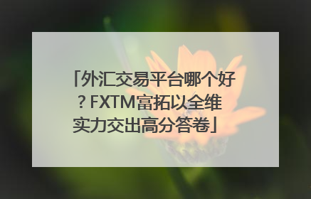 外汇交易平台哪个好？FXTM富拓以全维实力交出高分答卷