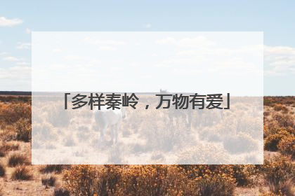 多样秦岭，万物有爱