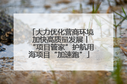 大力优化营商环境 加快高质量发展丨“项目管家”护航用海项目“加速跑”