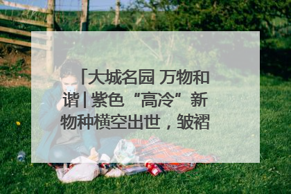 大城名园 万物和谐│紫色“高冷”新物种横空出世，皱褶叶片暗藏进化密码