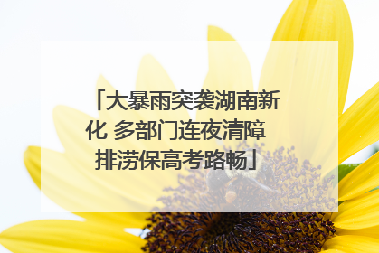 大暴雨突袭湖南新化 多部门连夜清障排涝保高考路畅