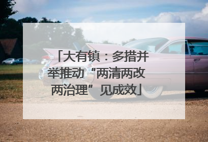 大有镇：多措并举推动“两清两改两治理”见成效