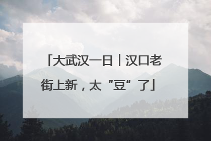 大武汉一日︱汉口老街上新，太“豆”了