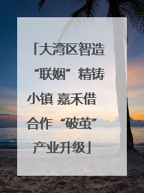 大湾区智造“联姻”精铸小镇 嘉禾借合作“破茧”产业升级