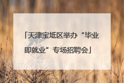 天津宝坻区举办“毕业即就业”专场招聘会