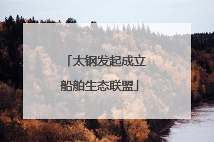 太钢发起成立船舶生态联盟