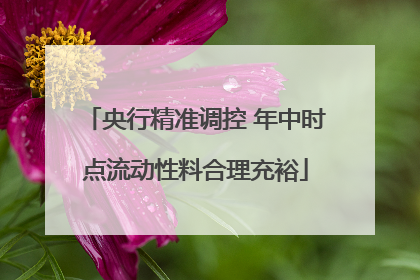 央行精准调控 年中时点流动性料合理充裕