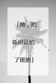 她，把新房让给了斑鸠