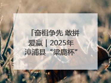 奋楫争先 敢拼爱赢｜2025年漳浦县“梁鹿杯”龙舟赛圆满举行