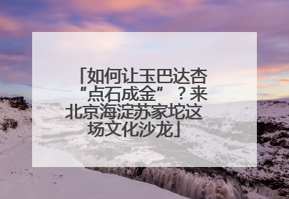 如何让玉巴达杏“点石成金”？来北京海淀苏家坨这场文化沙龙