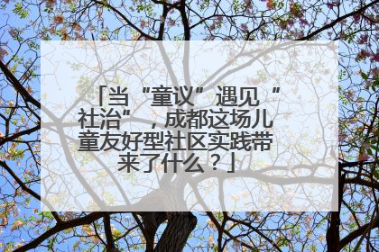 当“童议”遇见“社治”，成都这场儿童友好型社区实践带来了什么？