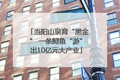 当阳山泉育“黑金” 一条鲟鱼“游”出10亿元大产业
