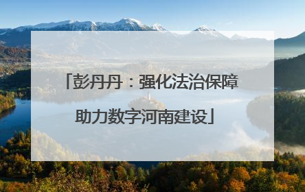彭丹丹：强化法治保障 助力数字河南建设