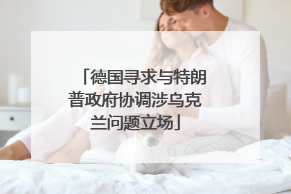 德国寻求与特朗普政府协调涉乌克兰问题立场