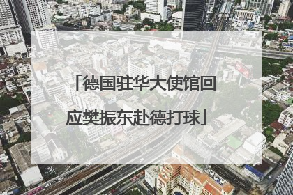德国驻华大使馆回应樊振东赴德打球
