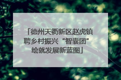 德州天衢新区赵虎镇聘乡村振兴“智囊团” 绘就发展新蓝图