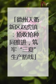 德州天衢新区赵虎镇：抢收抢种同推进，筑牢“三夏”生产防线