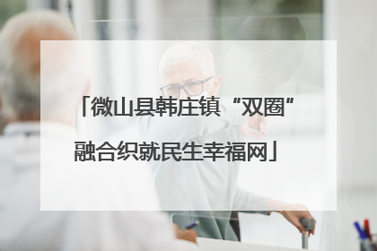 微山县韩庄镇“双圈”融合织就民生幸福网