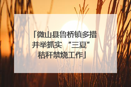微山县鲁桥镇多措并举抓实 “三夏” 秸秆禁烧工作