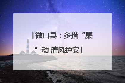 微山县：多措“廉”动 清风护安
