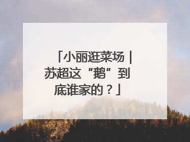 小丽逛菜场｜苏超这“鹅”到底谁家的？