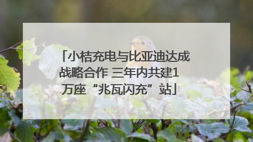 小桔充电与比亚迪达成战略合作 三年内共建1万座“兆瓦闪充”站