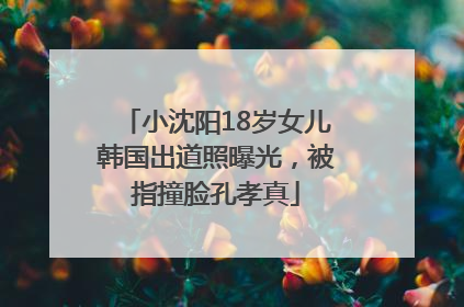 小沈阳18岁女儿韩国出道照曝光，被指撞脸孔孝真