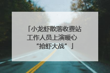 小龙虾散落收费站 工作人员上演暖心“抢虾大战”