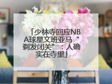 少林寺回应NBA球星文班亚马“剃发闭关”：人确实在寺里