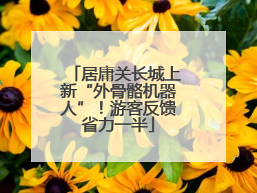 居庸关长城上新“外骨骼机器人”！游客反馈省力一半