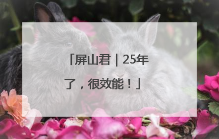 屏山君｜25年了，很效能！