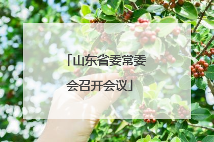 山东省委常委会召开会议