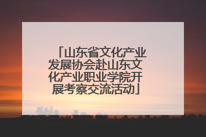 山东省文化产业发展协会赴山东文化产业职业学院开展考察交流活动